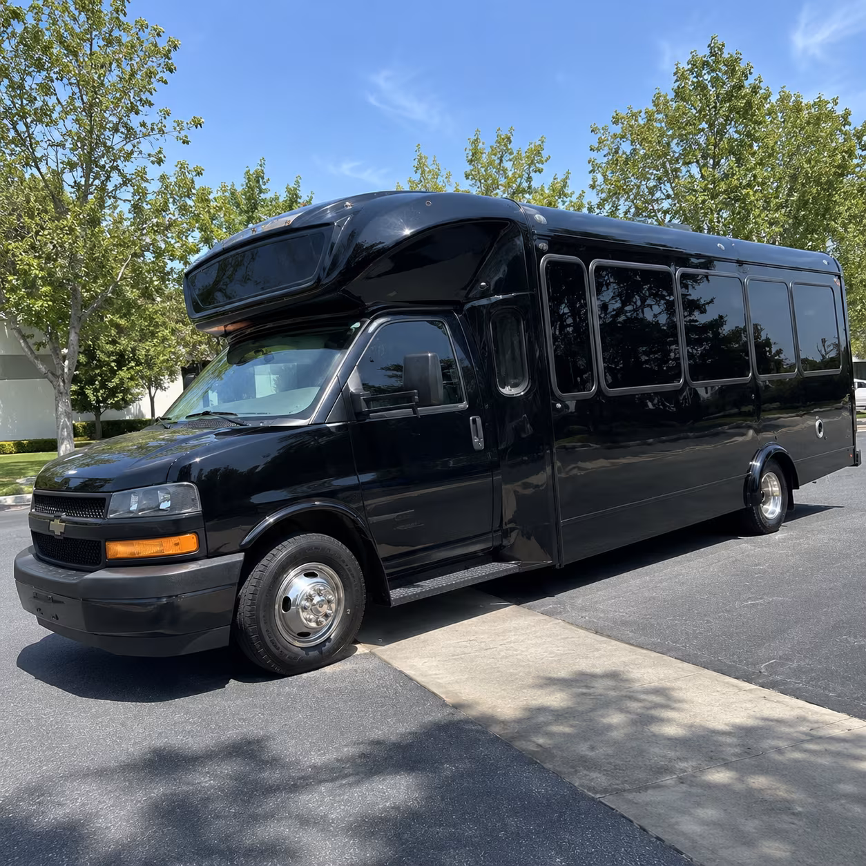 brookhaven 15 passenger party bus