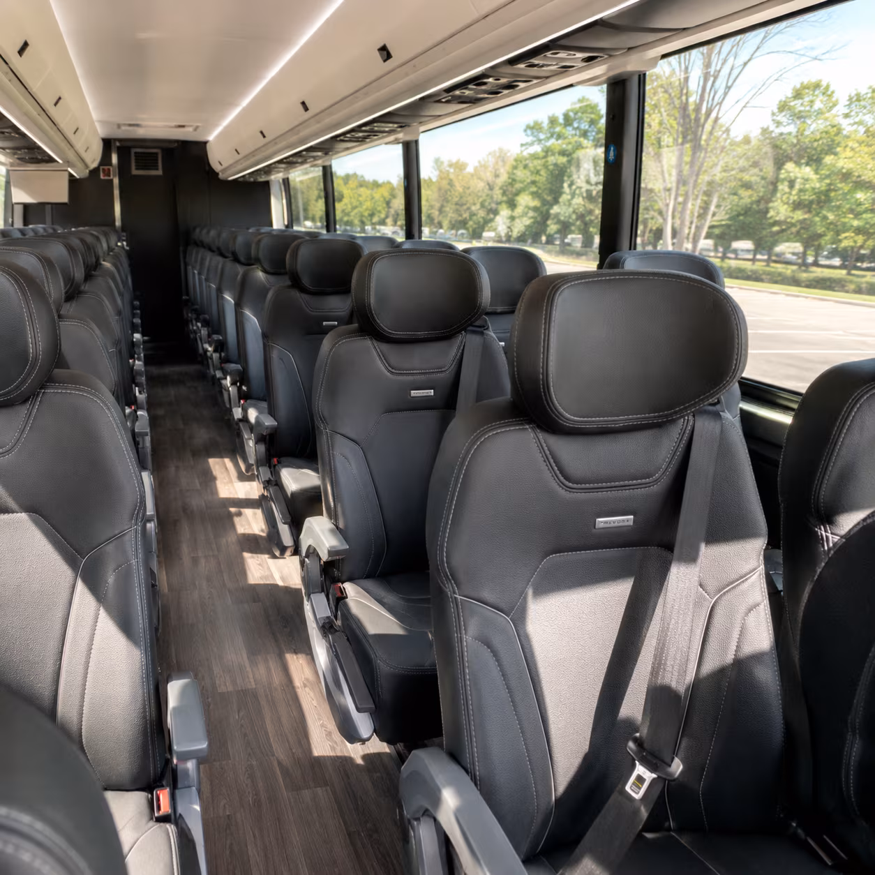 brookhaven concert transportation